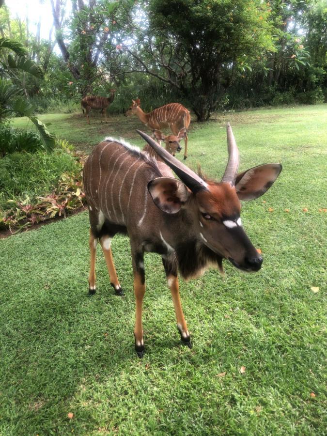 Jock Of The Bushveld Barberton Exterior foto