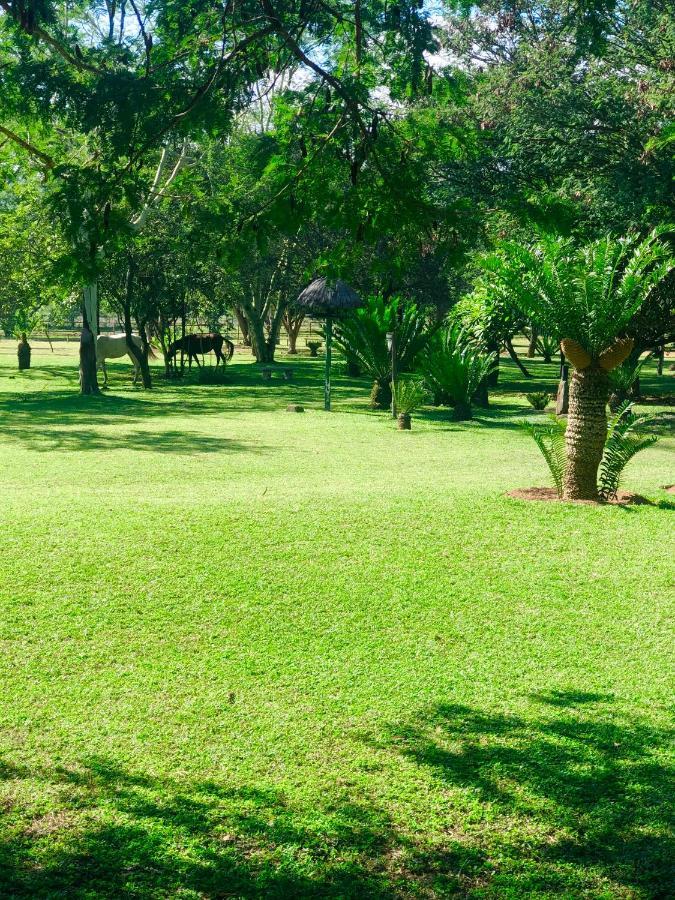Jock Of The Bushveld Barberton Exterior foto