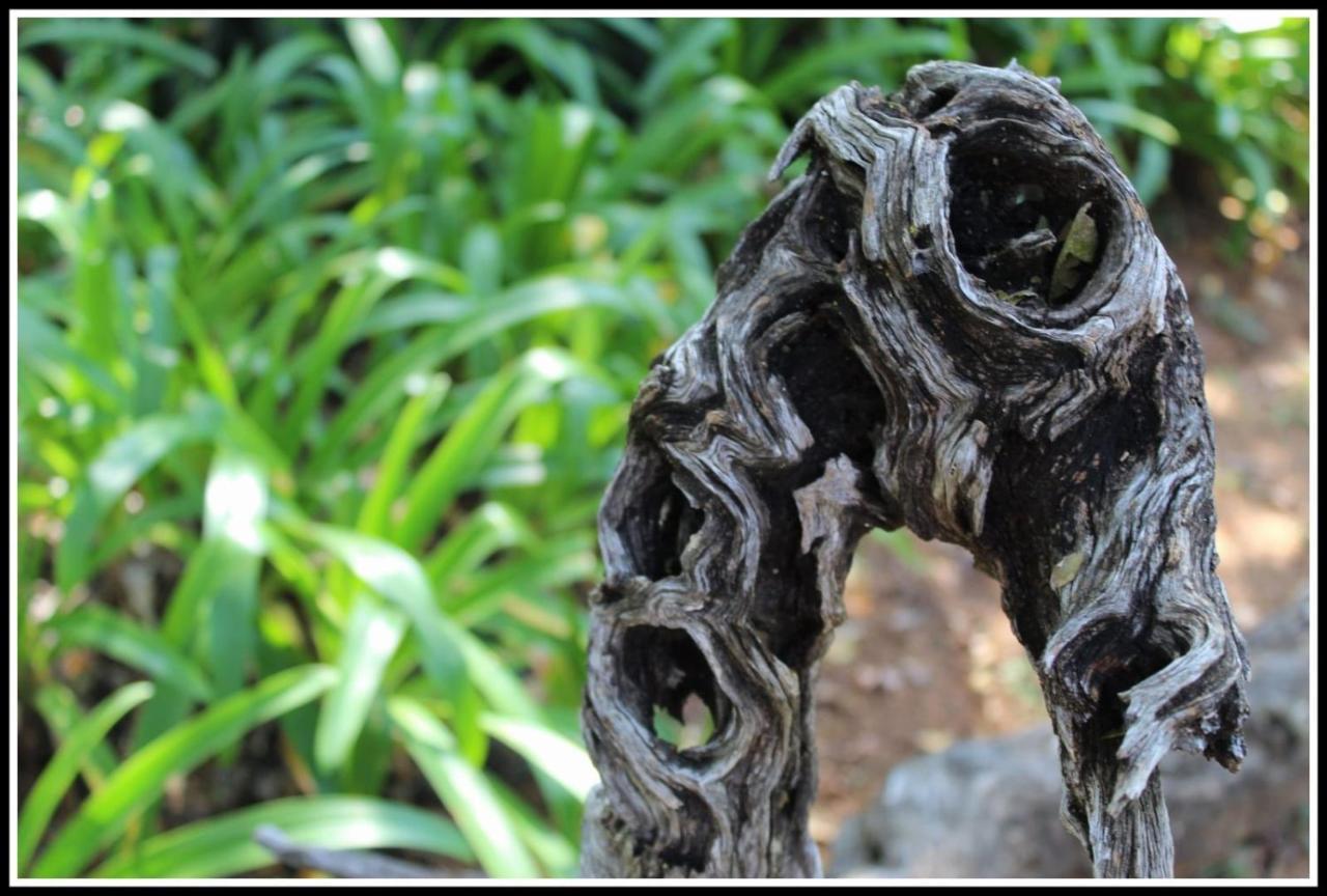 Jock Of The Bushveld Barberton Exterior foto