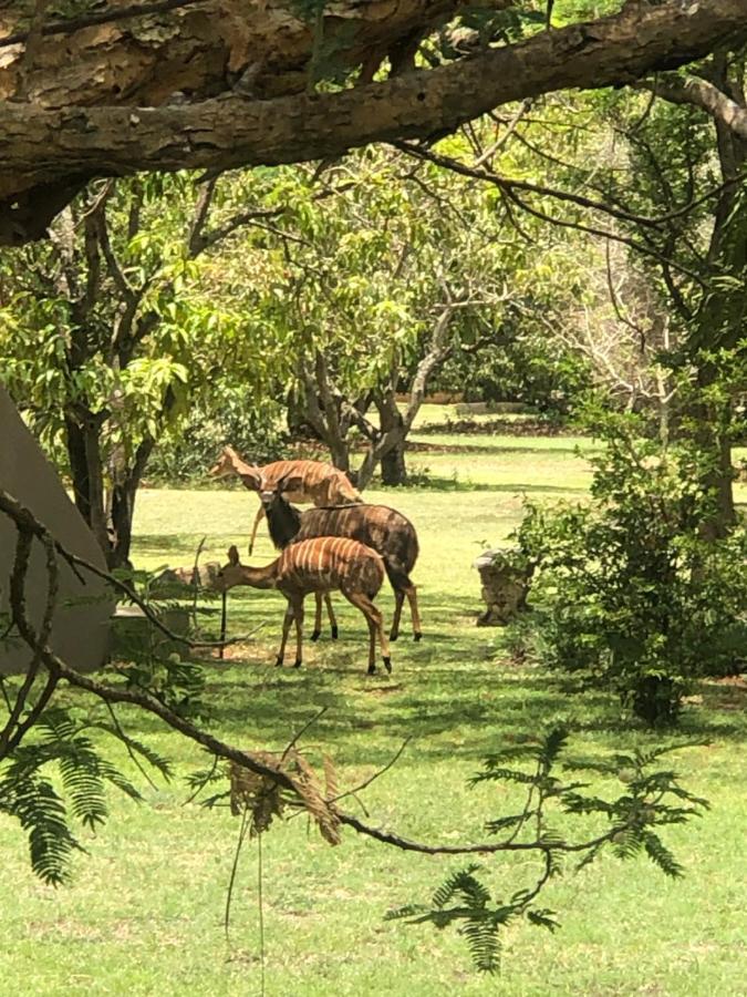 Jock Of The Bushveld Barberton Exterior foto